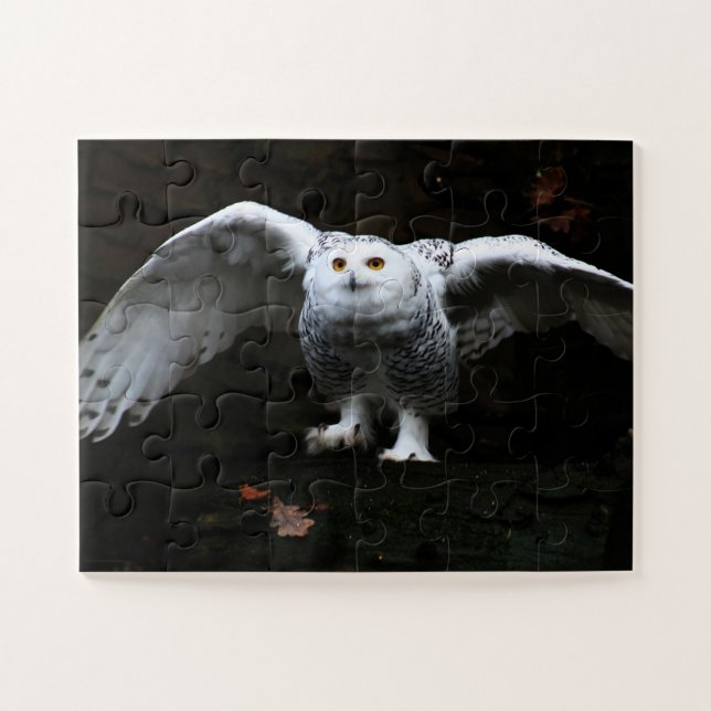 Snowy Owl With Open Wings 11x14 30pc jpcnm Jigsaw Puzzle (Horizontal)