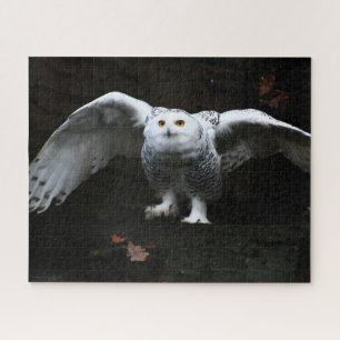 Snowy Owl With Open Wings 16x20 520pc jpcn Jigsaw Puzzle