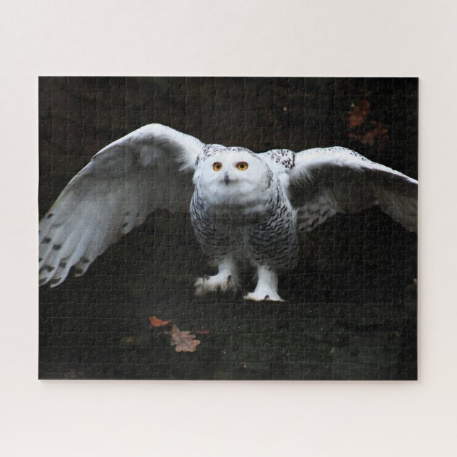 Snowy Owl With Open Wings 16x20 520pc jpcnm Jigsaw Puzzle (Horizontal)