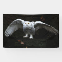 Snowy Owl With Open Wings bnrcnm