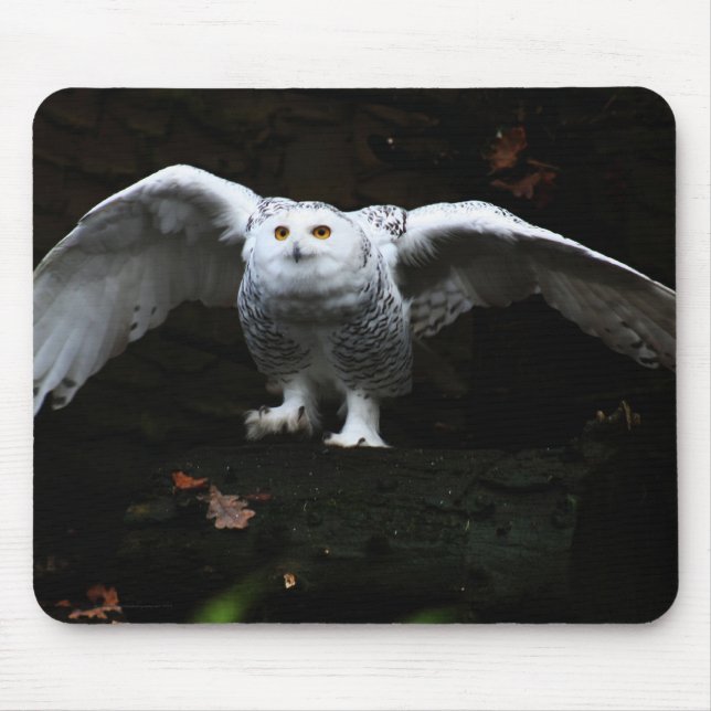 Snowy Owl With Open Wings mpcna Mouse Pad (Front)