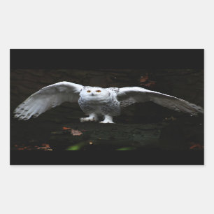 Snowy Owl With Open Wings stcna Rectangular Sticker