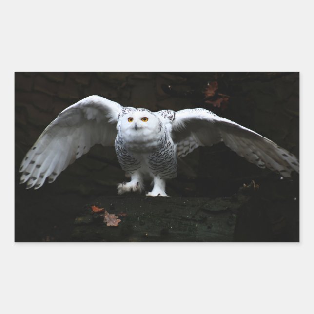 Snowy Owl With Open Wings stm Rectangular Sticker (Front)