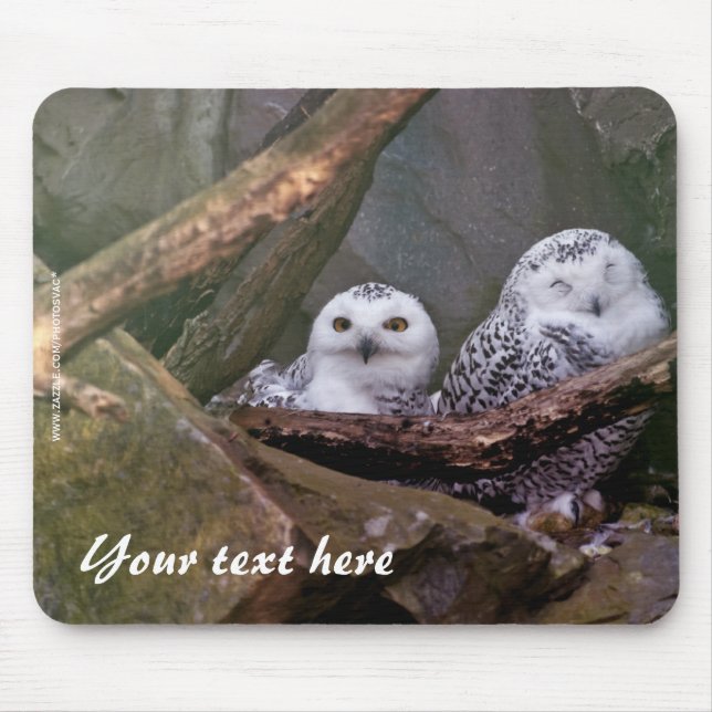 Snowy Owls Mousepad (Front)