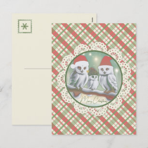 Snowy Owls' Noel Holiday Postcard