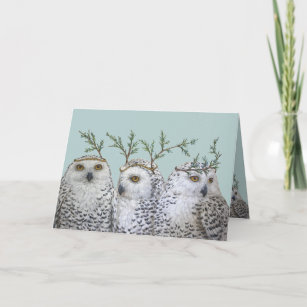 Snowy owls on aqua card