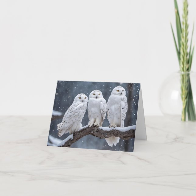 Snowy Owls On Tree Branch Note Card (Front)