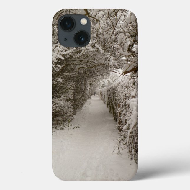 Snowy Path iPad Air Case (Back)