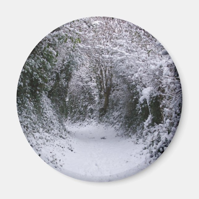 Snowy Path Magnet (Front)