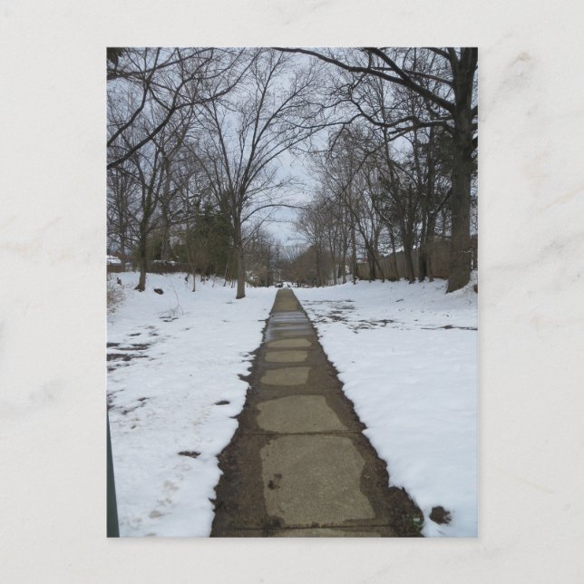 Snowy Path Postcard (Front)