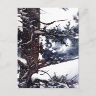 "Snowy Pine #2" Country Roads Postcard