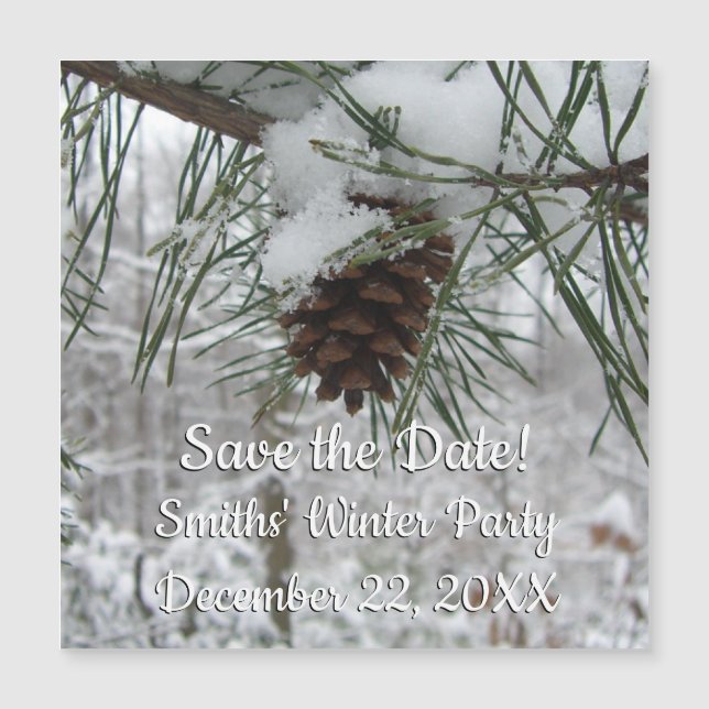 Snowy Pine Branch Winter Nature Photography (Front)