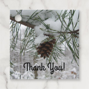 Snowy Pine Branch Winter Nature Photography Favour Tags