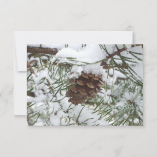 Snowy Pine Cone I Winter Nature Photography