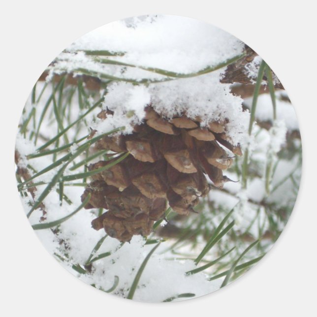 Snowy Pine Cone I Winter Nature Photography Classic Round Sticker (Front)