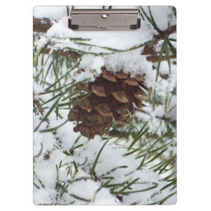 Snowy Pine Cone I Winter Nature Photography Clipboard