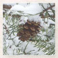Snowy Pine Cone I Winter Nature Photography