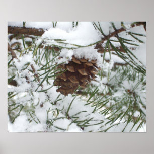 Snowy Pine Cone I Winter Nature Photography Poster