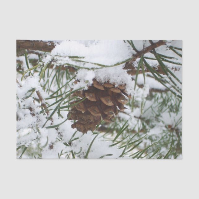 Snowy Pine Cone I Winter Nature Photography Tissue Paper (Front)