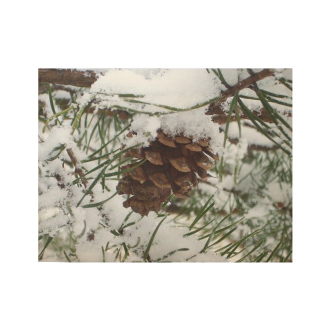 Snowy Pine Cone I Winter Nature Photography Wood Poster (Front)
