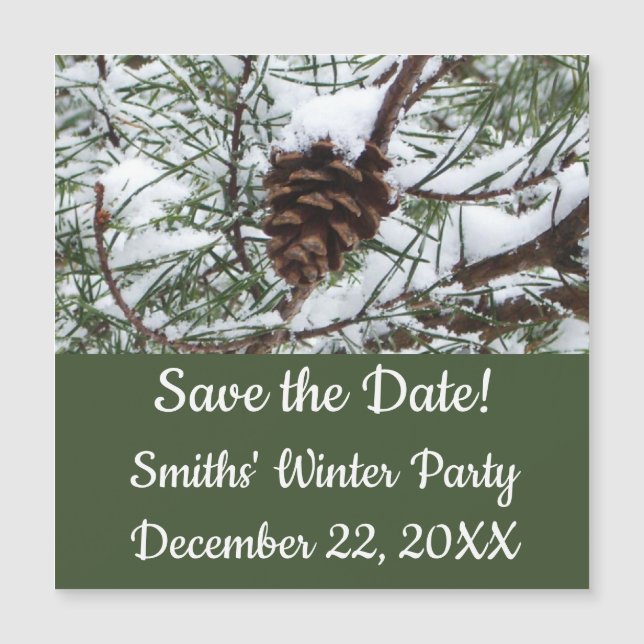 Snowy Pine Cone II Winter Nature Photography (Front)