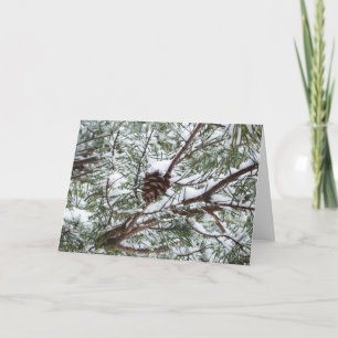 Snowy Pine Cone II Winter Nature Photography Card
