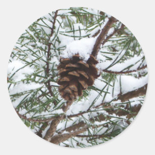 Snowy Pine Cone II Winter Nature Photography Classic Round Sticker