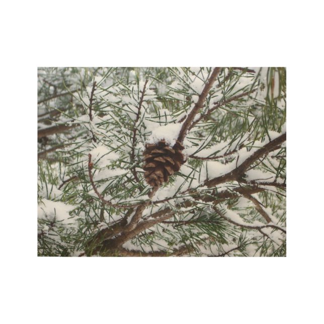 Snowy Pine Cone II Winter Nature Photography Wood Poster (Front)