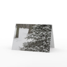 Snowy Pine Holiday Card