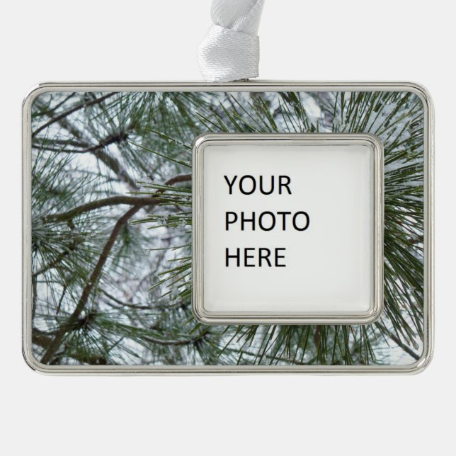 Snowy Pine Needles Winter Nature Photography Silver Plated Framed Ornament (Front)