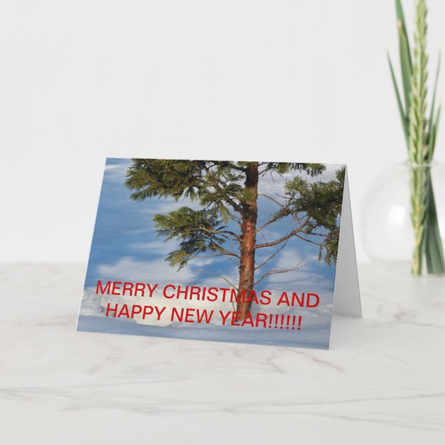 SNOWY PINE TREE Christmas CARD (Front)