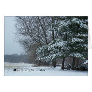 Snowy Pine Tree, Warm Winter Wishes