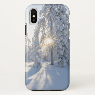 Snowy Pine Tree's iPhone X Case