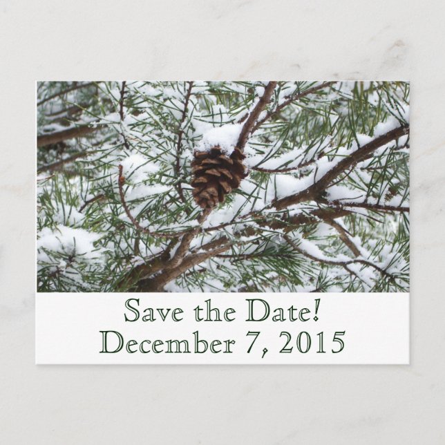Snowy Pinecone Save the Date Announcement Postcard (Front)
