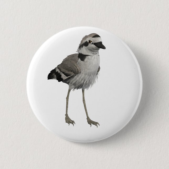 Snowy Plover 6 Cm Round Badge (Front)