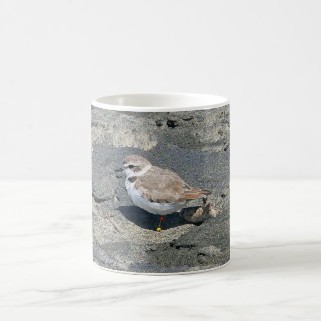 Snowy plover coffee mug (Center)