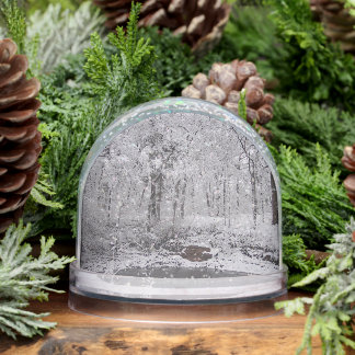Snowy Pond Snow Globe