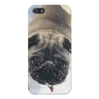 Snowy Pug iPhone 5/5s glossy case