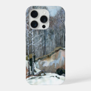 Snowy ravine iPhone case