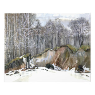 Snowy ravine photo print