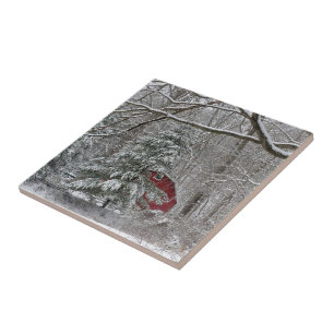 Snowy Red Barn Ceramic Tile