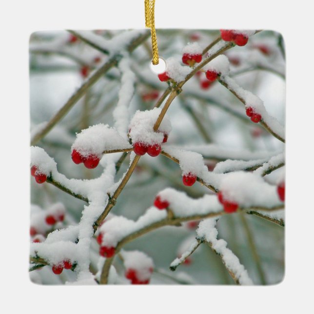 Snowy Red Berries Winter Scene Ceramic Tree Decoration (Front)