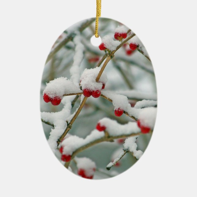 Snowy Red Berries Winter Scene Oval Ceramic Tree Decoration (Front)