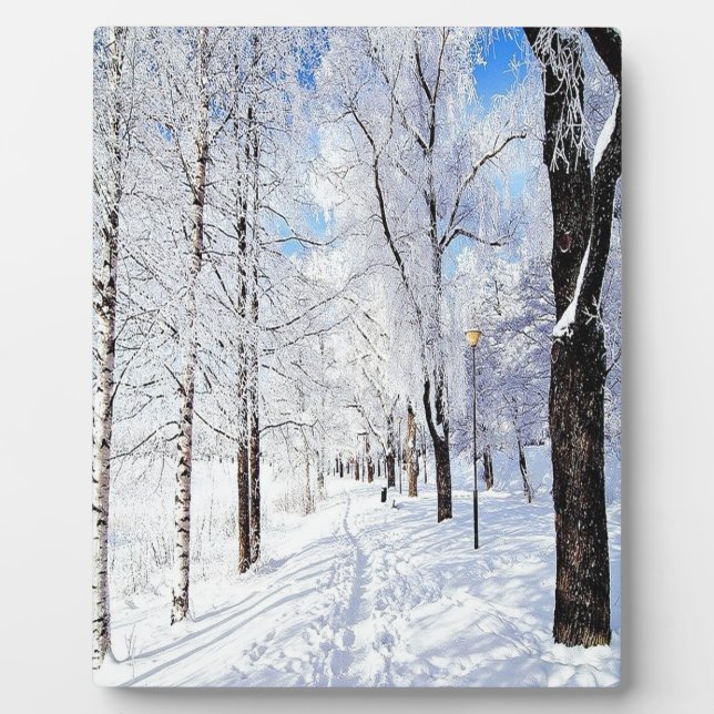 Snowy Road Plaque (Front)