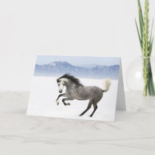 Snowy Romp Horse Greeting Card