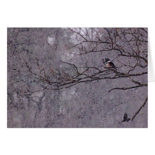 Snowy Scene (Front Horizontal)