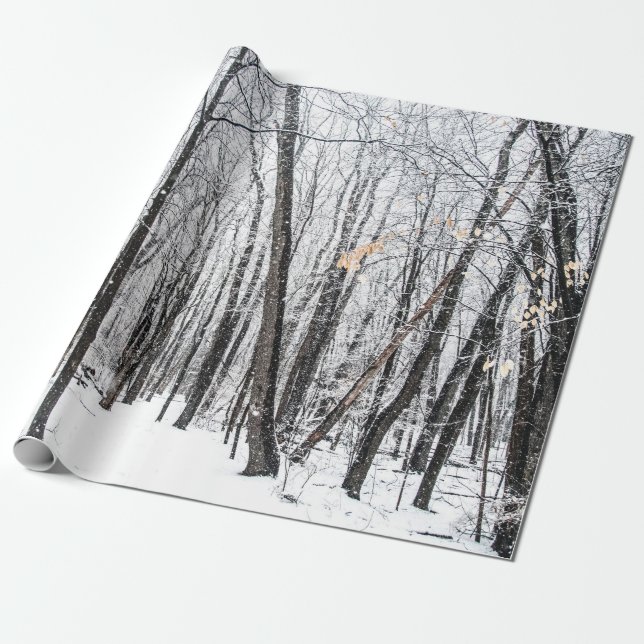 Snowy Scene in Woodland Michigan Wrapping Paper (Unrolled)