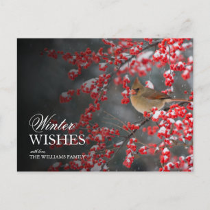 Snowy Scene with Cardinal and Winterberry Postcard