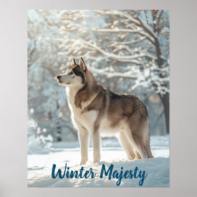 Snowy Sentinel: Alaskan Malamute Majesty Poster (Front)