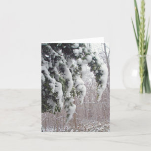 Snowy Spruce Note Card